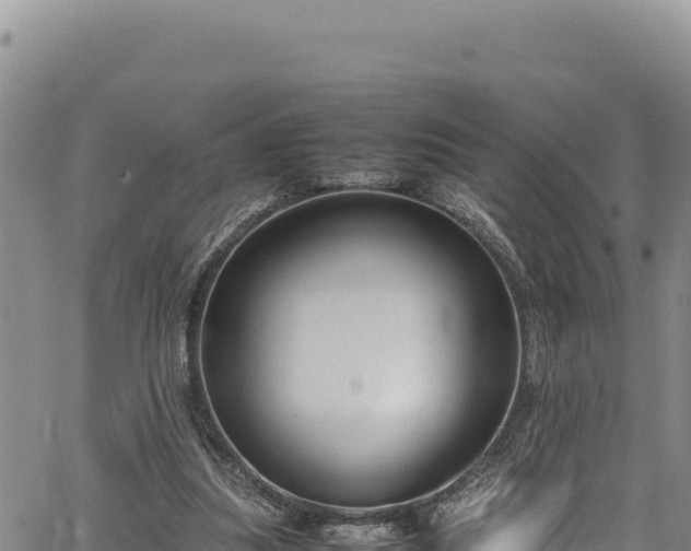 X0000064770251200602131323