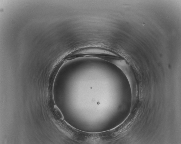 X0000064770252200602131324