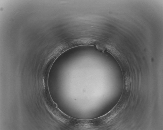 X0000064770254200602131324