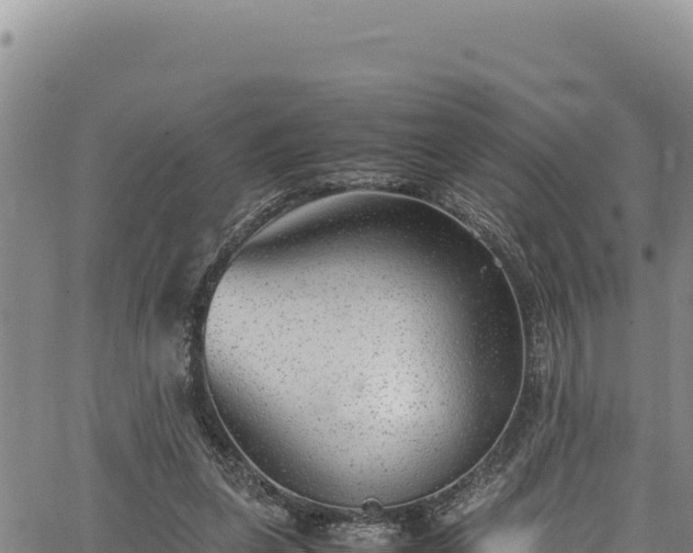 X0000064770255200602131324