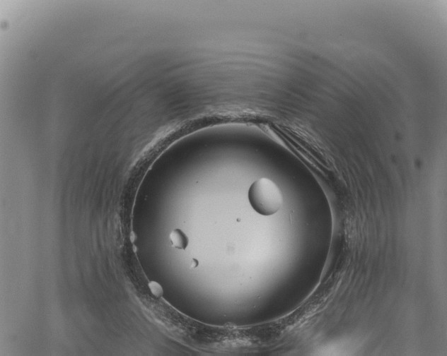 X0000064770256200602131324