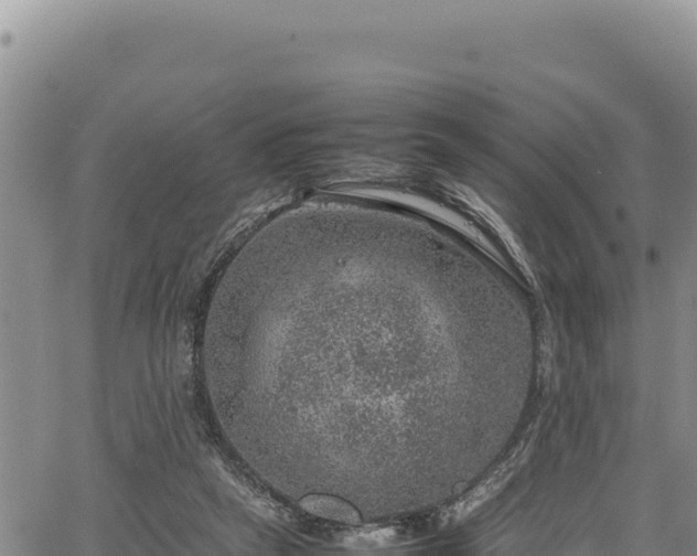 X0000064770257200602131324