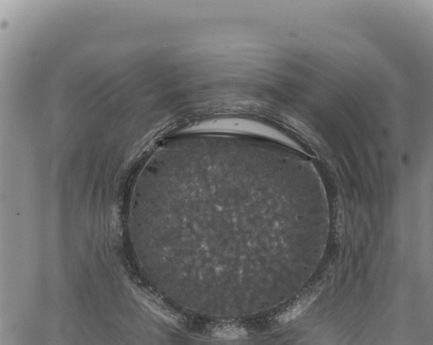 X0000064770258200602131324