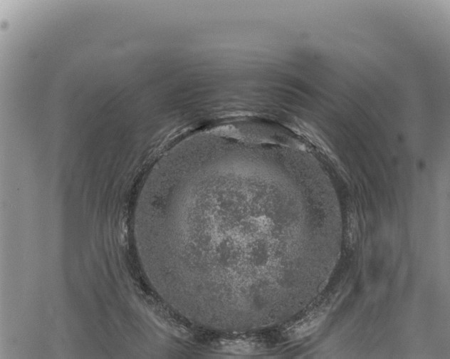 X0000064770259200602131324