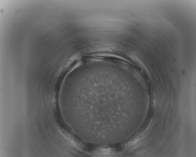 X0000064770260200602131324