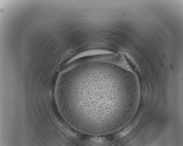 X0000064770261200602131324