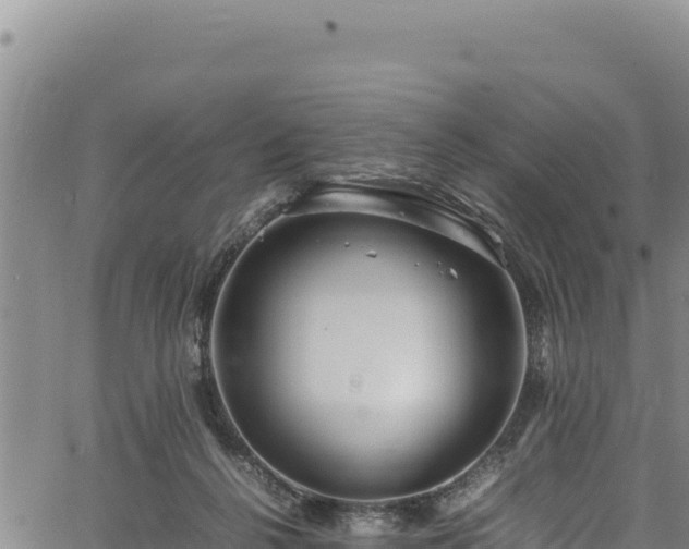 X0000064770264200602131324