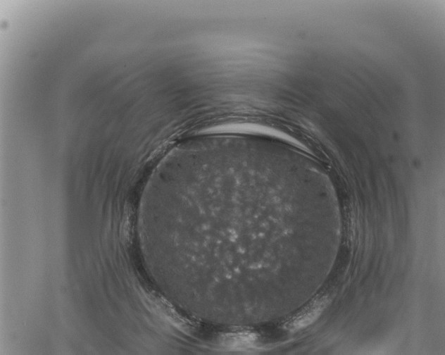 X0000064770266200602131324