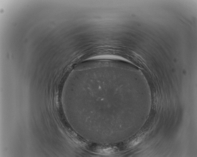 X0000064770267200602131324