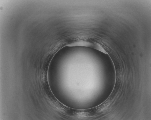 X0000064770268200602131324