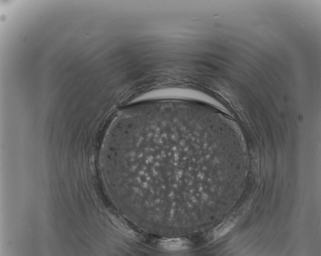 X0000064770269200602131324