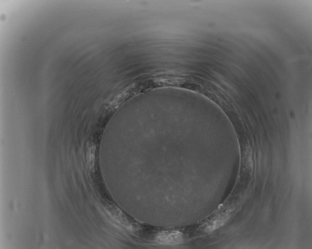 X0000064770271200602131324