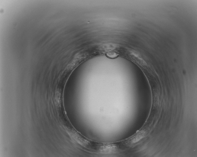 X0000064770274200602131324