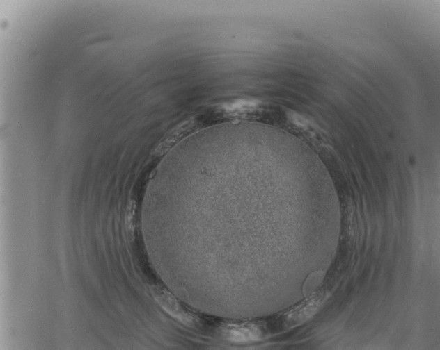 X0000064770275200602131324