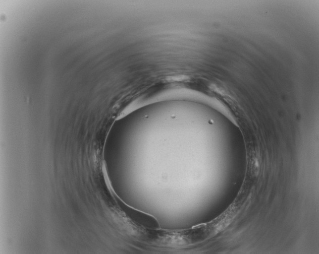 X0000064770276200602131324