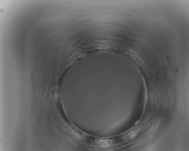 X0000064770277200602131324