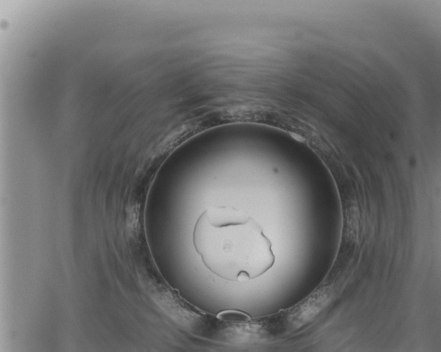 X0000064770278200602131324