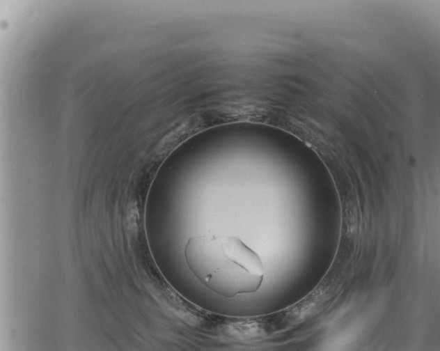 X0000064770279200602131324