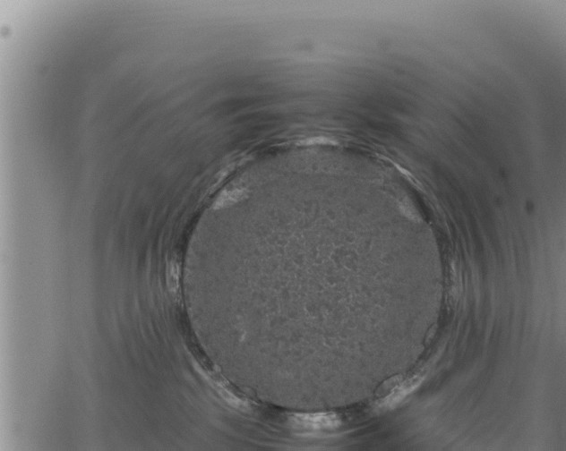 X0000064770281200602131324