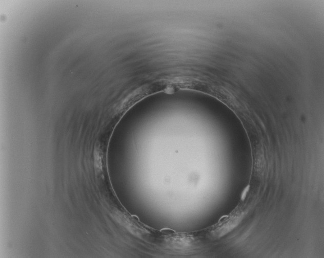 X0000064770282200602131324