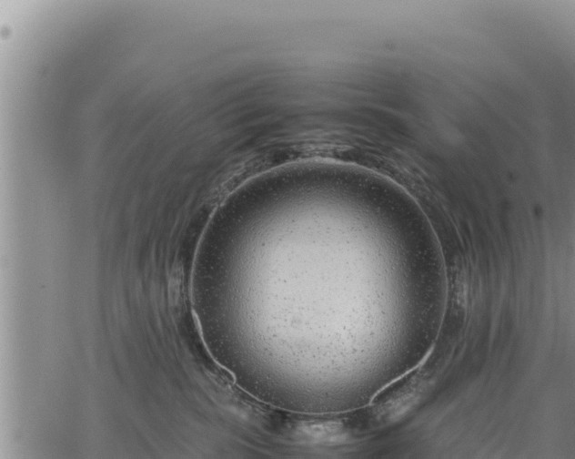 X0000064770283200602131324