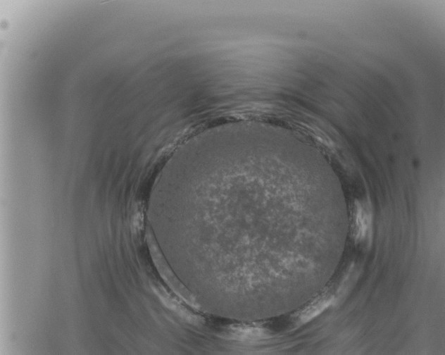 X0000064770284200602131324