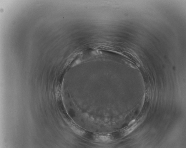 X0000064770285200602131324