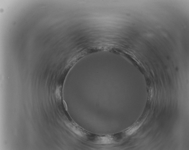 X0000064770286200602131324