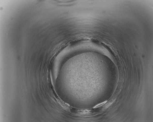 X0000064770288200602131324