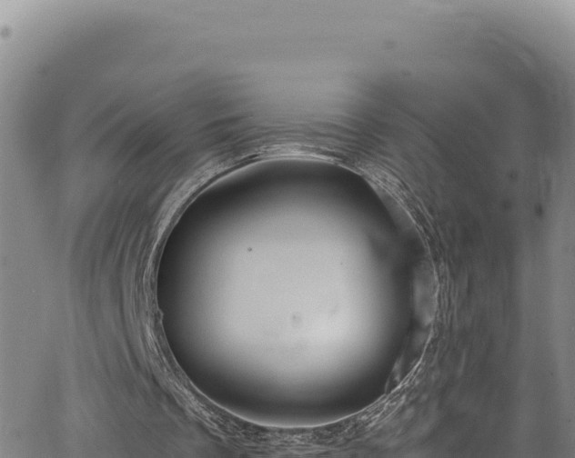 X0000064770289200602131323