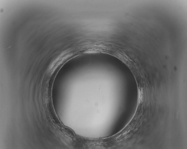 X0000064770291200602131323