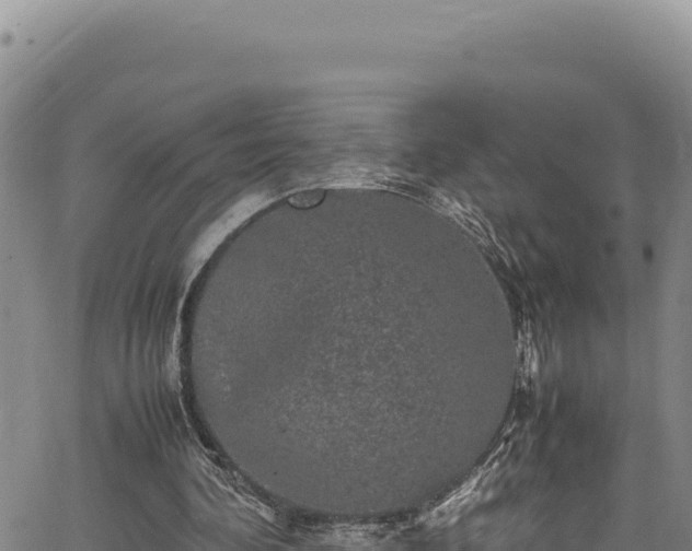 X0000064770292200602131323