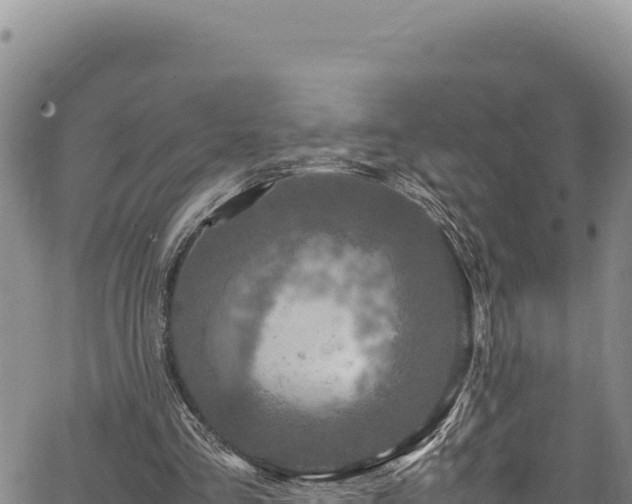 X0000064770293200602131323