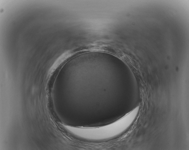 X0000064770295200602131323