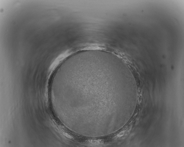 X0000064770296200602131323