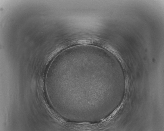 X0000064770297200602131323