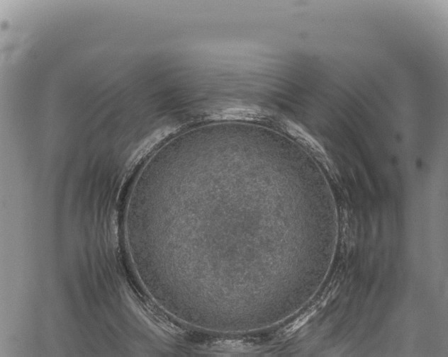 X0000064770298200602131323