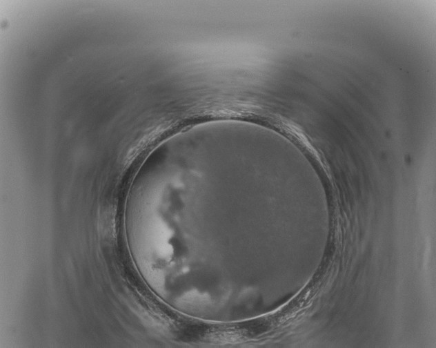 X0000064770299200602131323