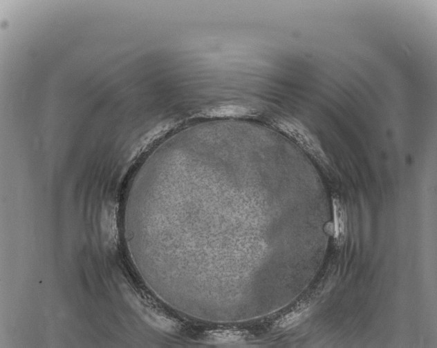 X0000064770300200602131323