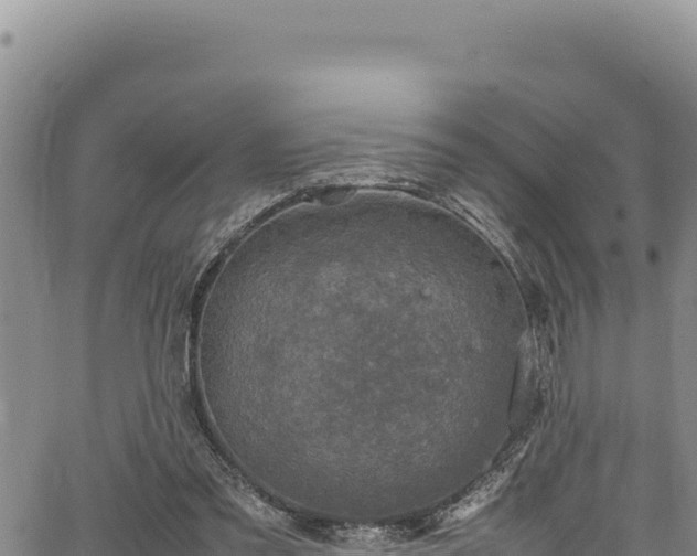 X0000064770301200602131323