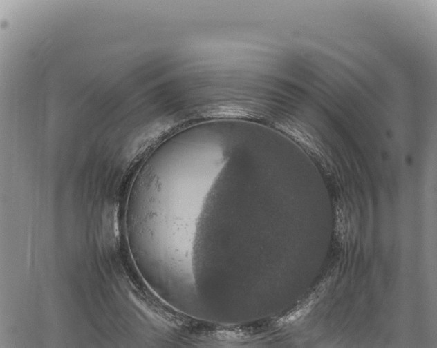 X0000064770302200602131323