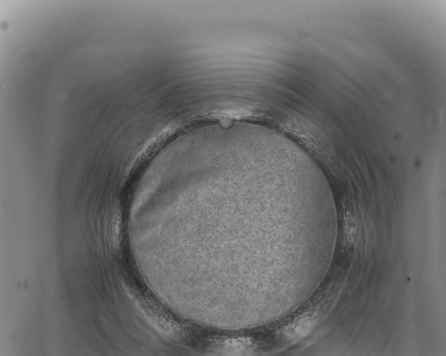 X0000064770304200602131323