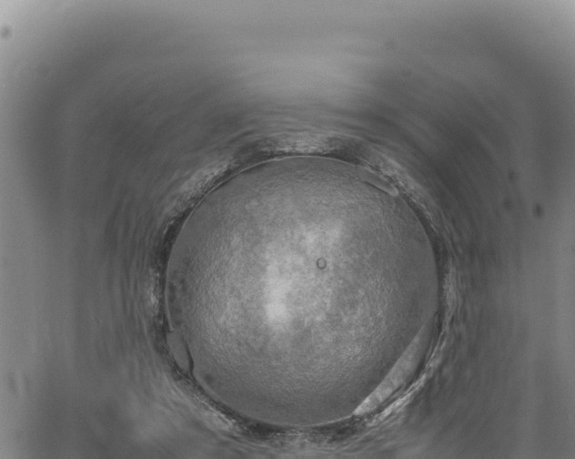 X0000064770305200602131323