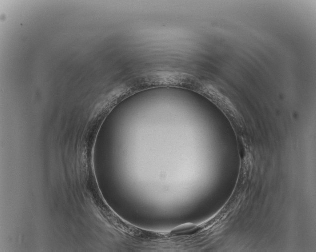 X0000064770306200602131323