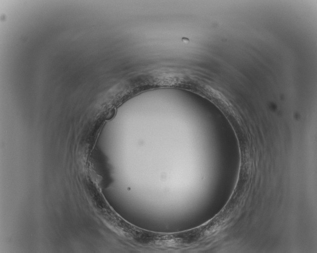 X0000064770307200602131323