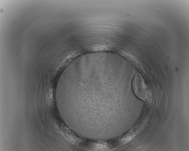 X0000064770308200602131323