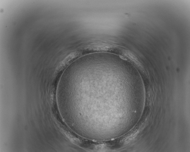 X0000064770309200602131323