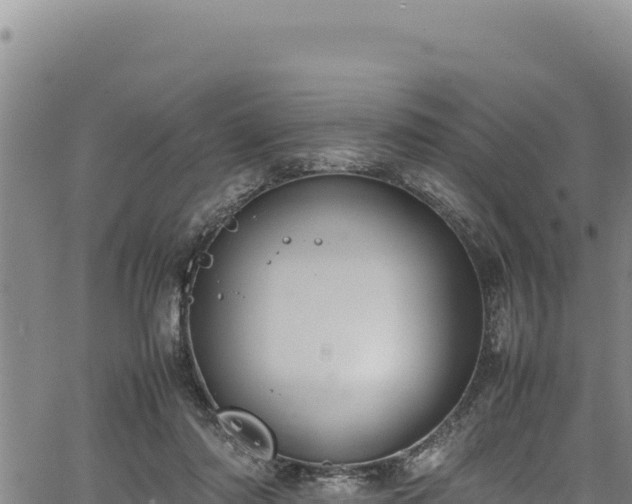 X0000064770310200602131323