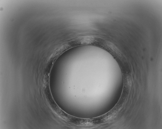 X0000064770311200602131323