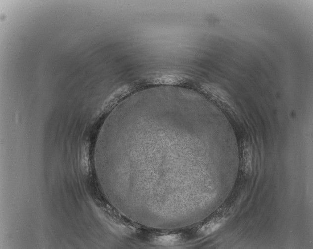 X0000064770312200602131323